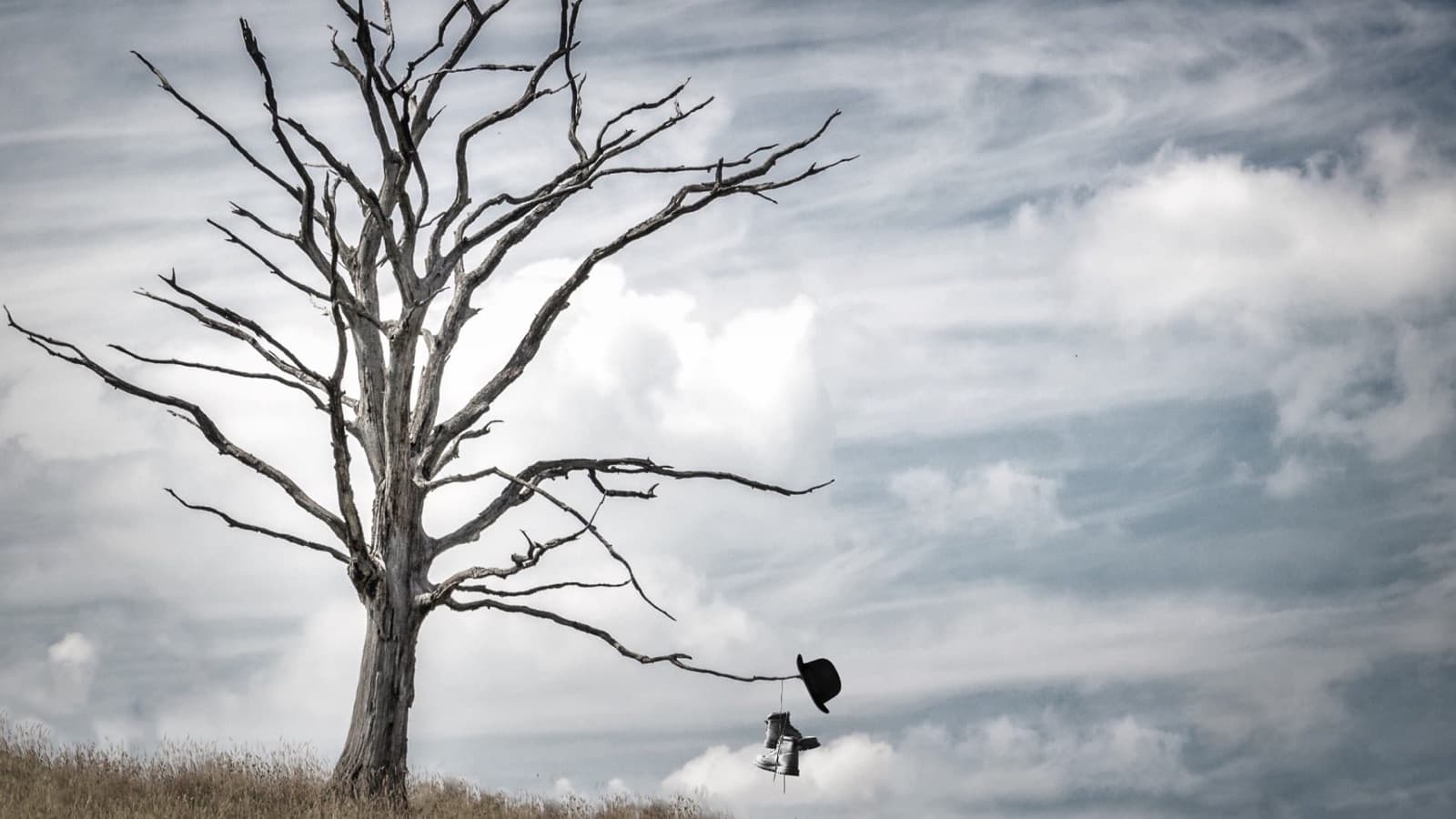 A bare tree on a hillside with a bowler hat and a pair of boots hanging from a branch